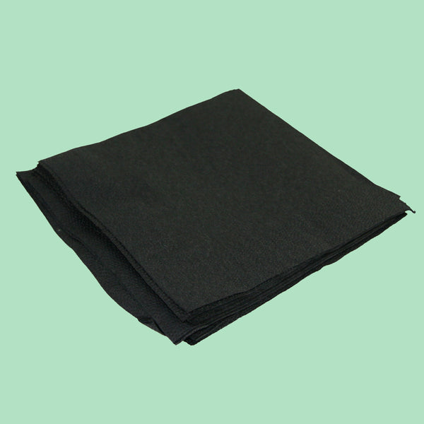 Black Napkin 2 ply (24 x 24cm)